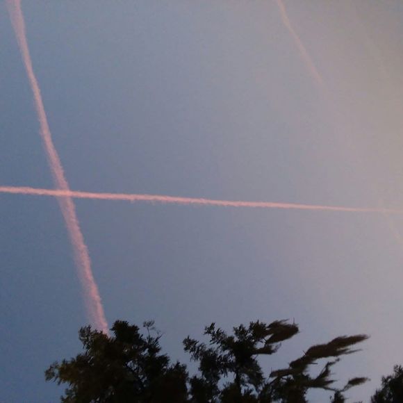 Meet your Posher, Agnieszka - Picture 1 of 8